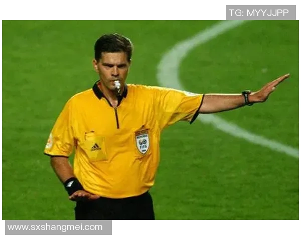 足球裁判用表的功能与重要性解析及其对比赛公正性的影响探讨